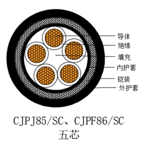 銅芯交聯(lián)聚乙烯絕緣低煙無鹵船用控制電纜-CKJPJ85/SC-150/250V、CKJPF86/SC-150/250V